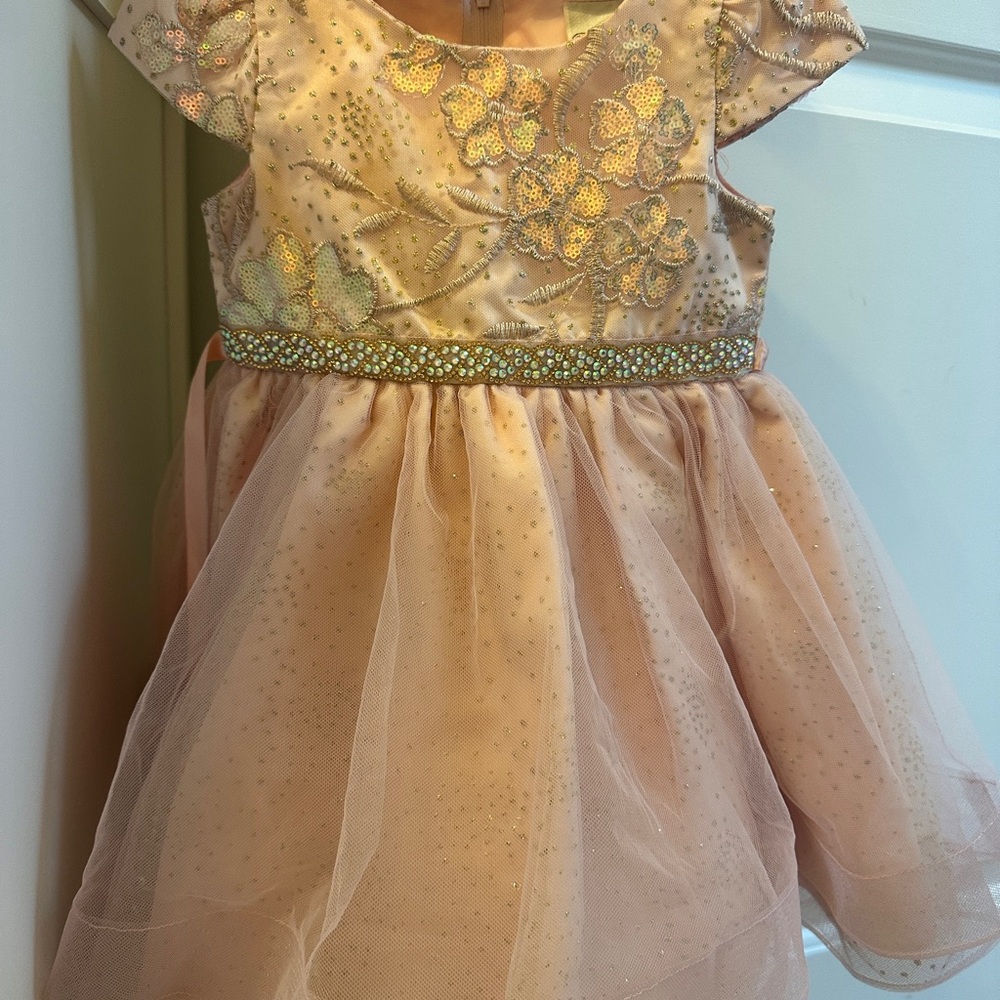 Rare Editions Peach Pinkish Floral Dress with Gold Accents Tulle Sz 3T